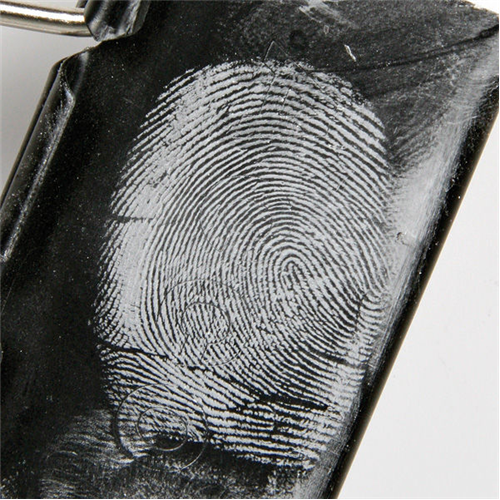 Lightning Powder Magnetic Powder