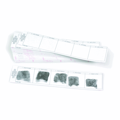 Identicator Post-Mortem Card Strips (non-adhesive)