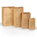 Lightning Powder Printed Paper Evidence Bags Style 12