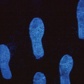 Lightning Powder Lightning Luminol