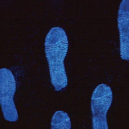 Lightning Powder Lightning Luminol