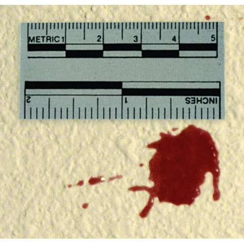Lightning Powder Adhesive Scales