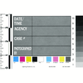 Lightning Powder Photo ID Cards, Pad of 25