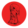 Targ-Dots 6 Turkey Target (10 Per Pack)