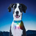 Nite-Ize SpotLit XL Rechargeable Collar Light