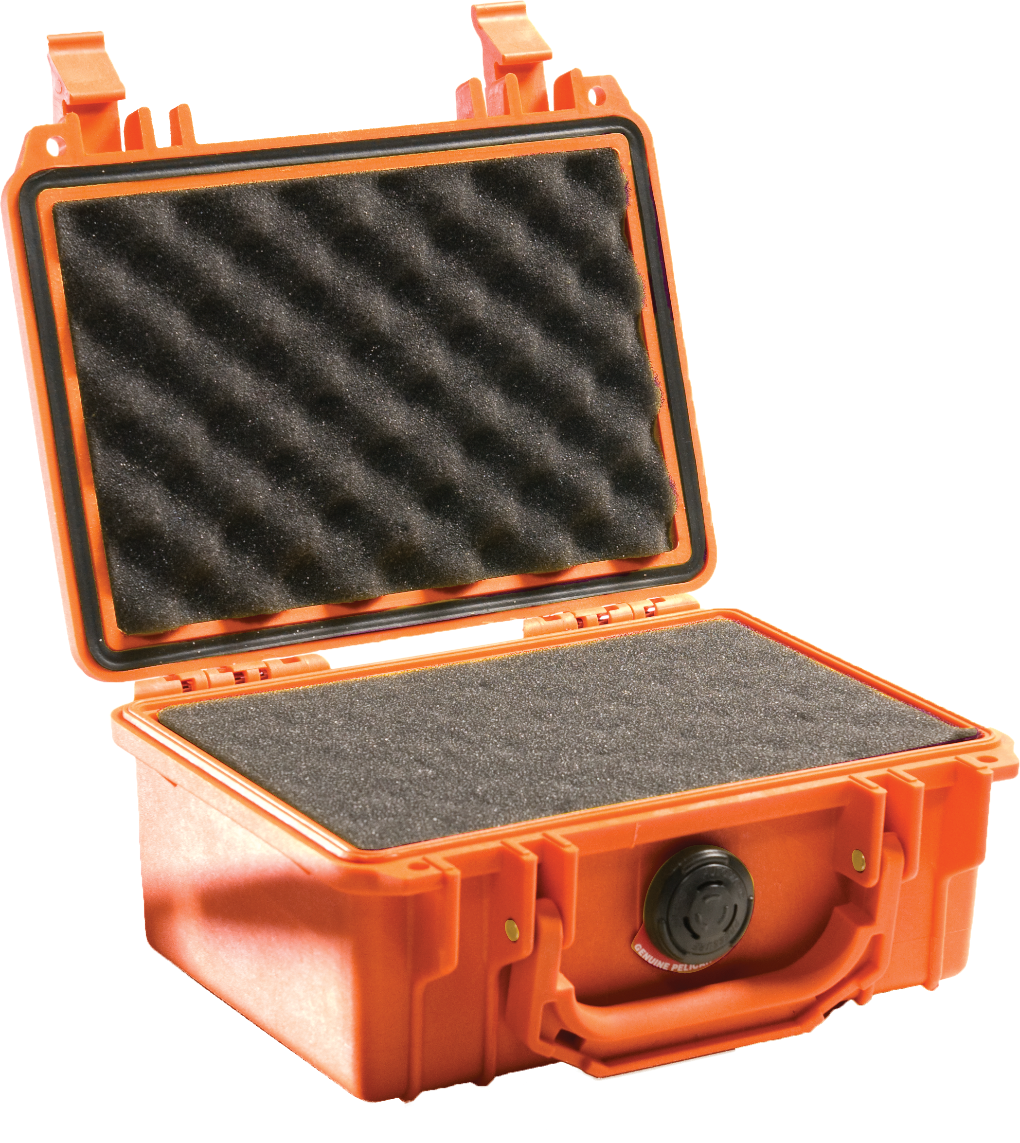 Pelican Products 1120 Protector Case