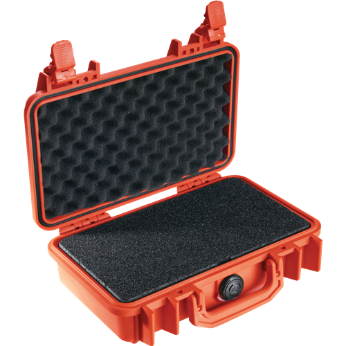 Pelican Products 1170 Protector Case