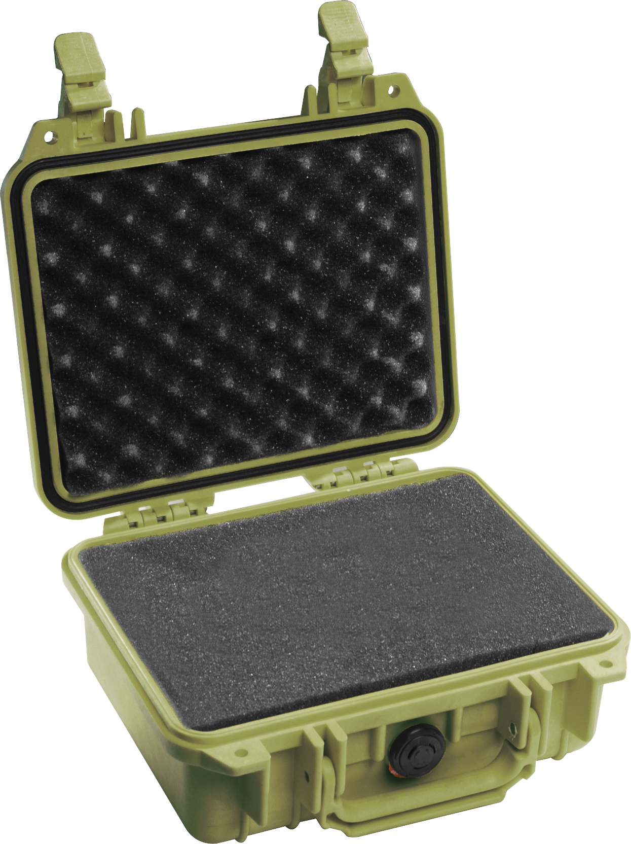 Pelican Products 1200 Protector Case