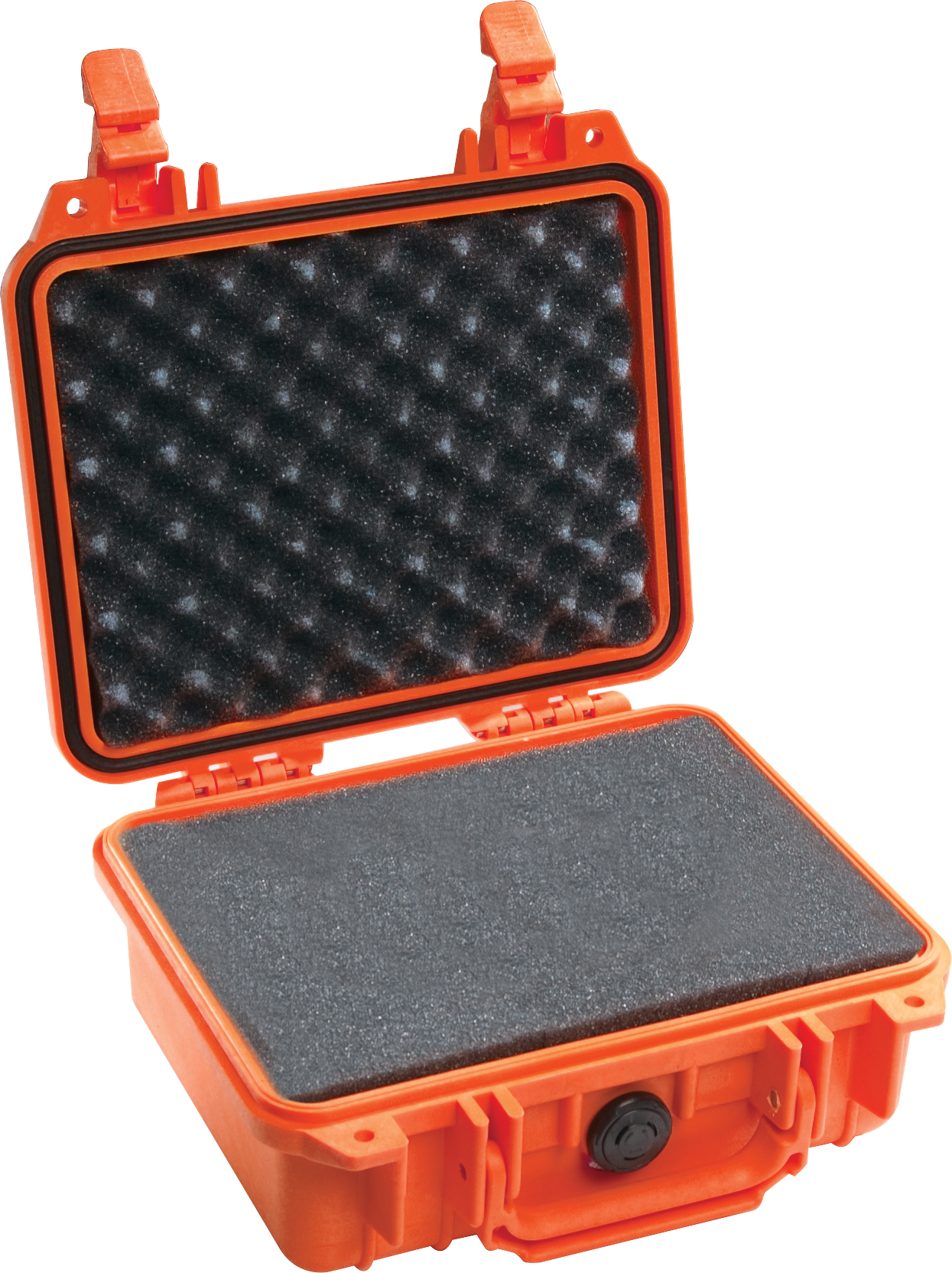Pelican Products 1200 Protector Case