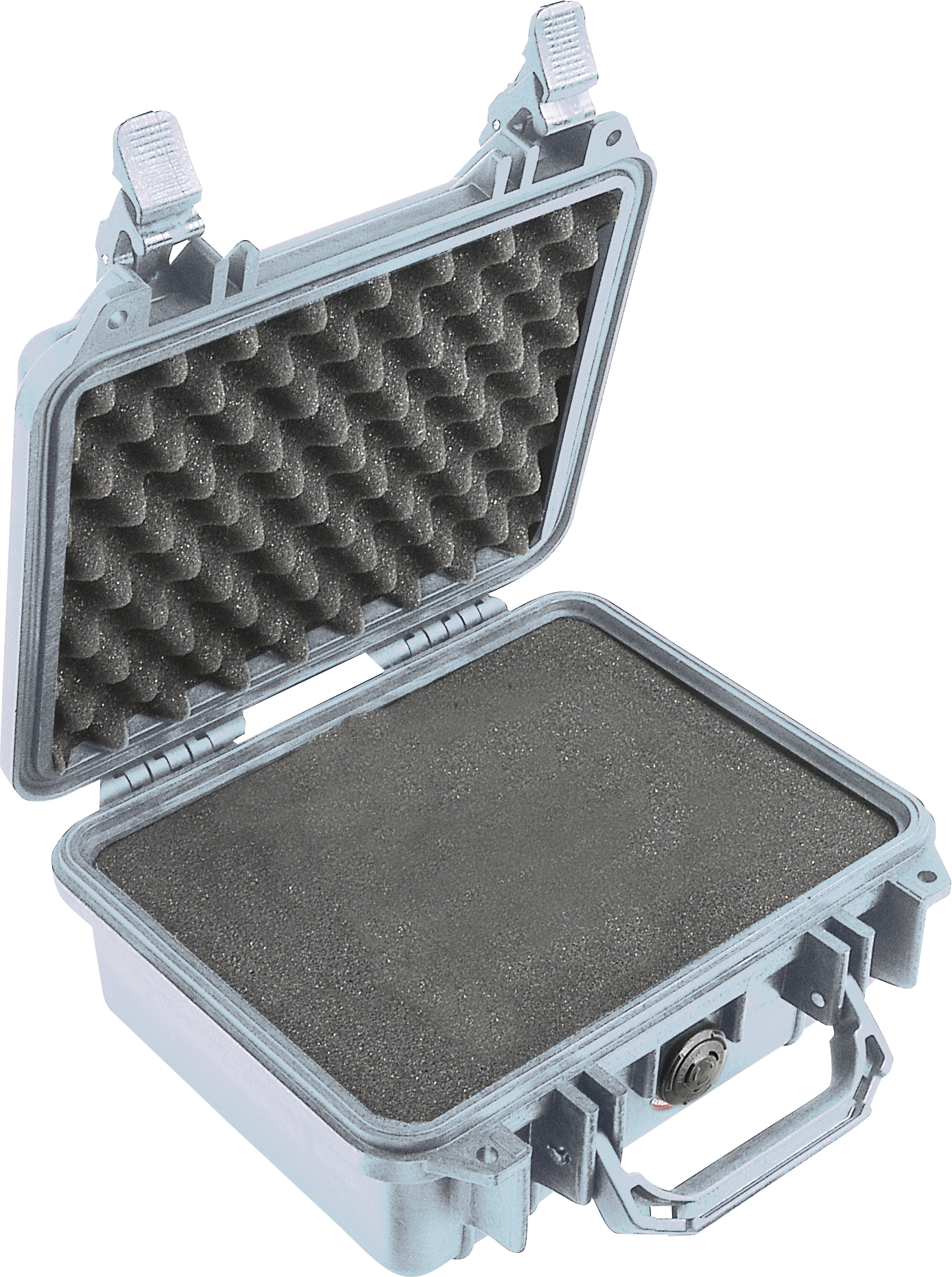 Pelican Products 1200 Protector Case