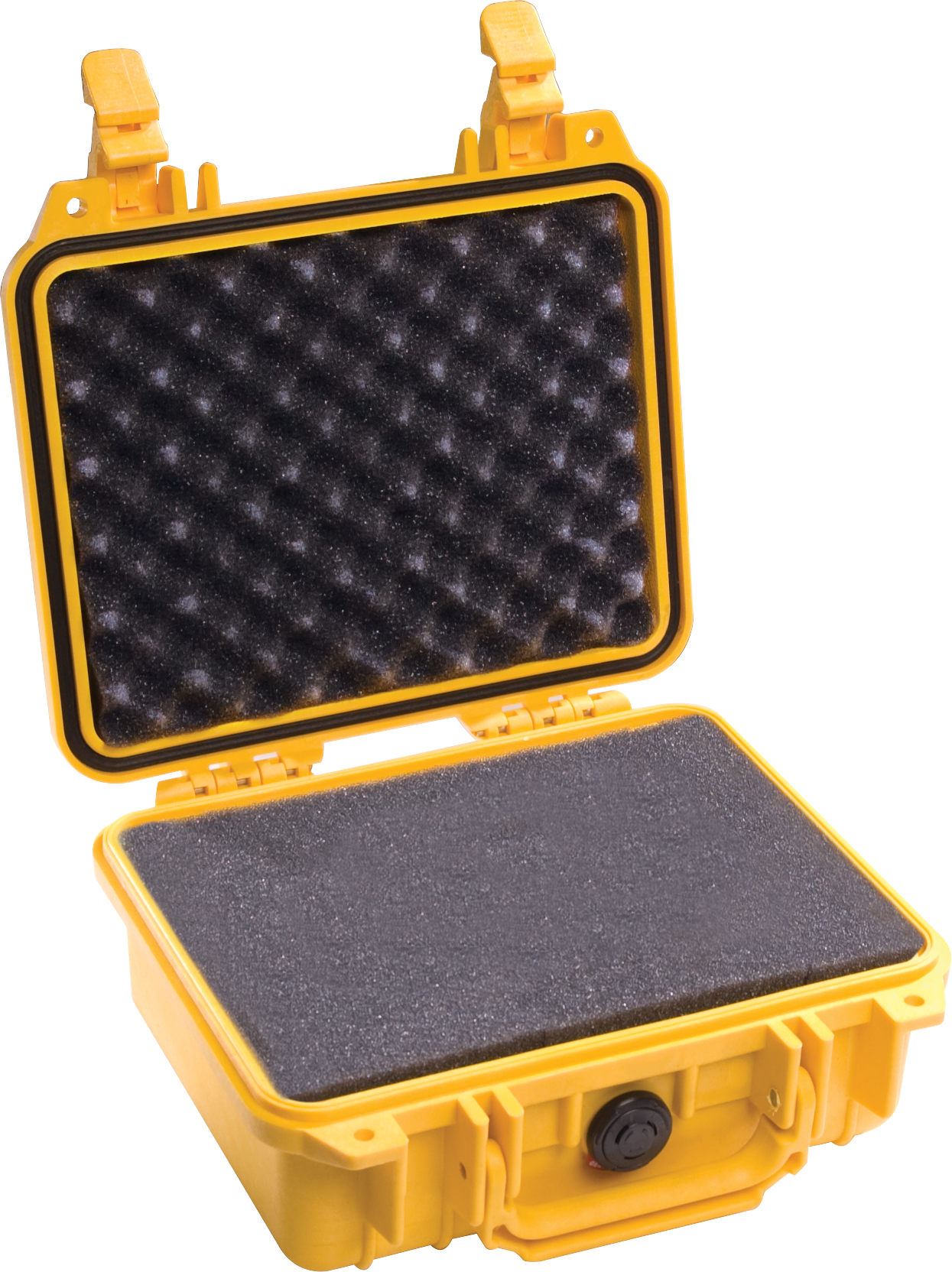 Pelican Products 1200 Protector Case