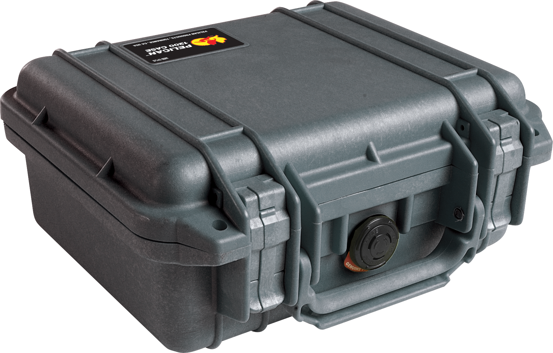 Pelican Products 1200 Protector Case