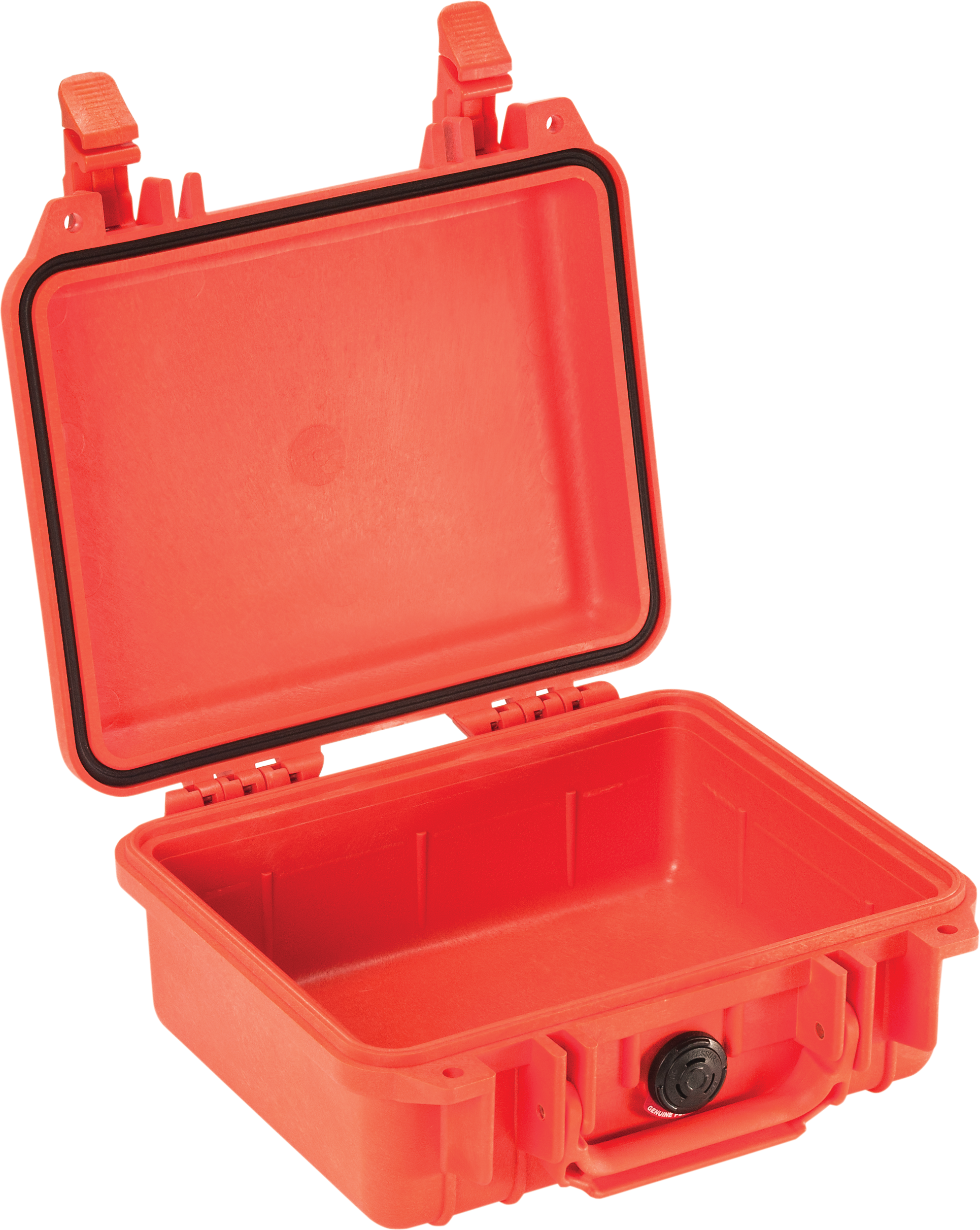 Pelican Products 1200 Protector Case