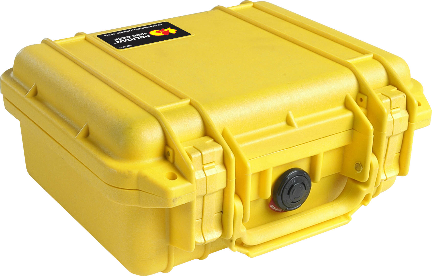 Pelican Products 1200 Protector Case
