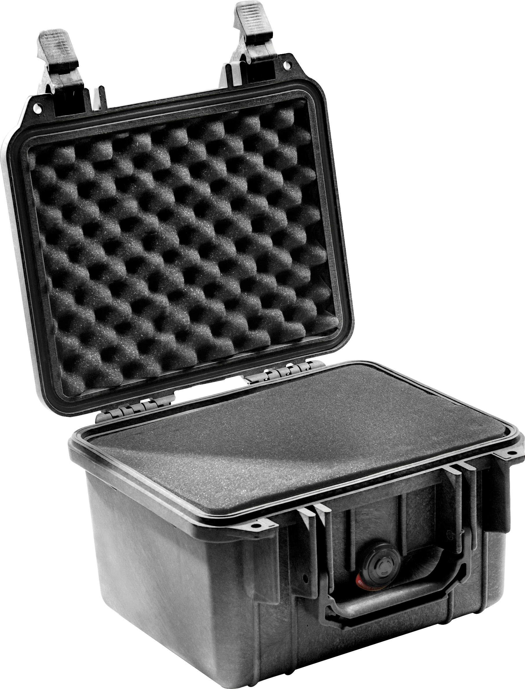 Pelican Products 1300 Protector Case