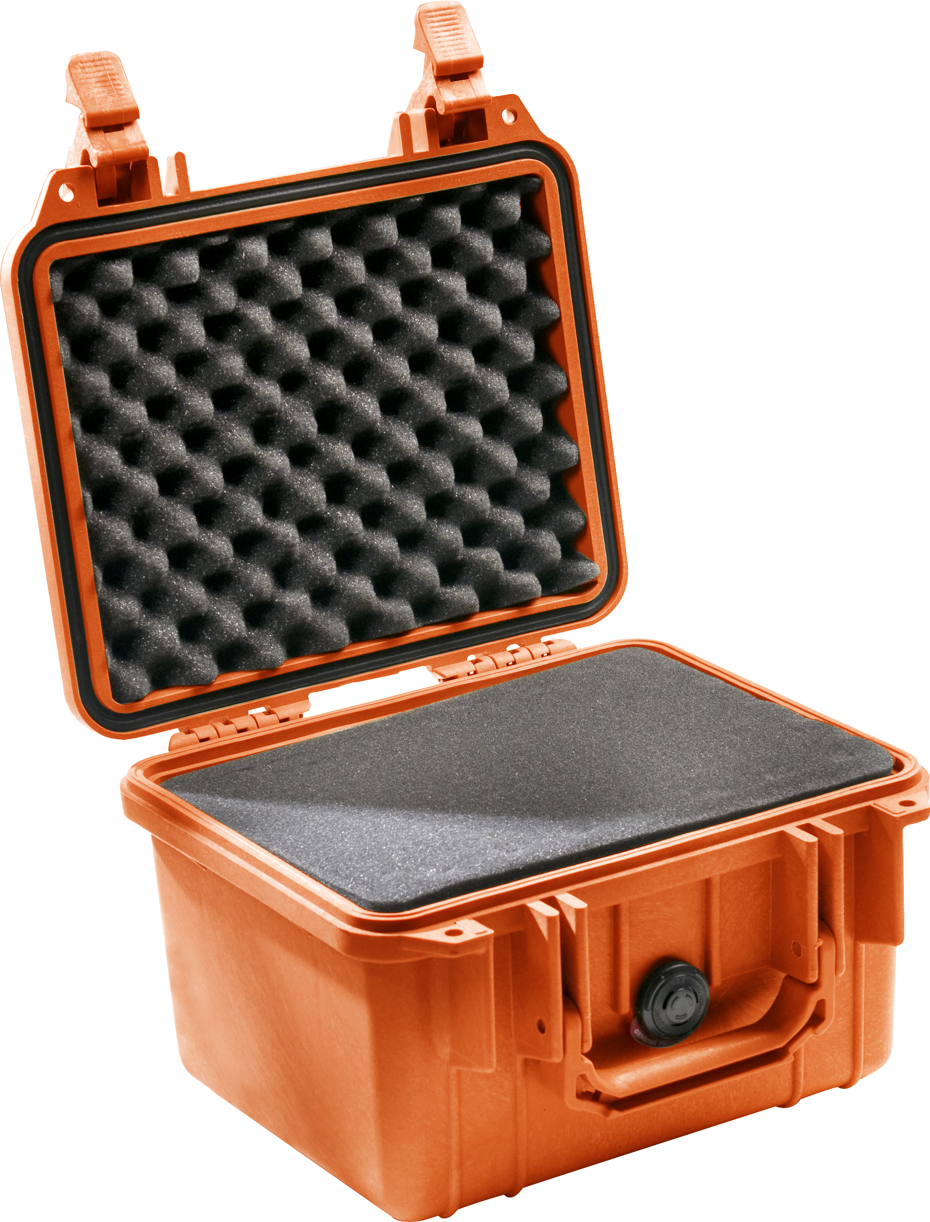 Pelican Products 1300 Protector Case