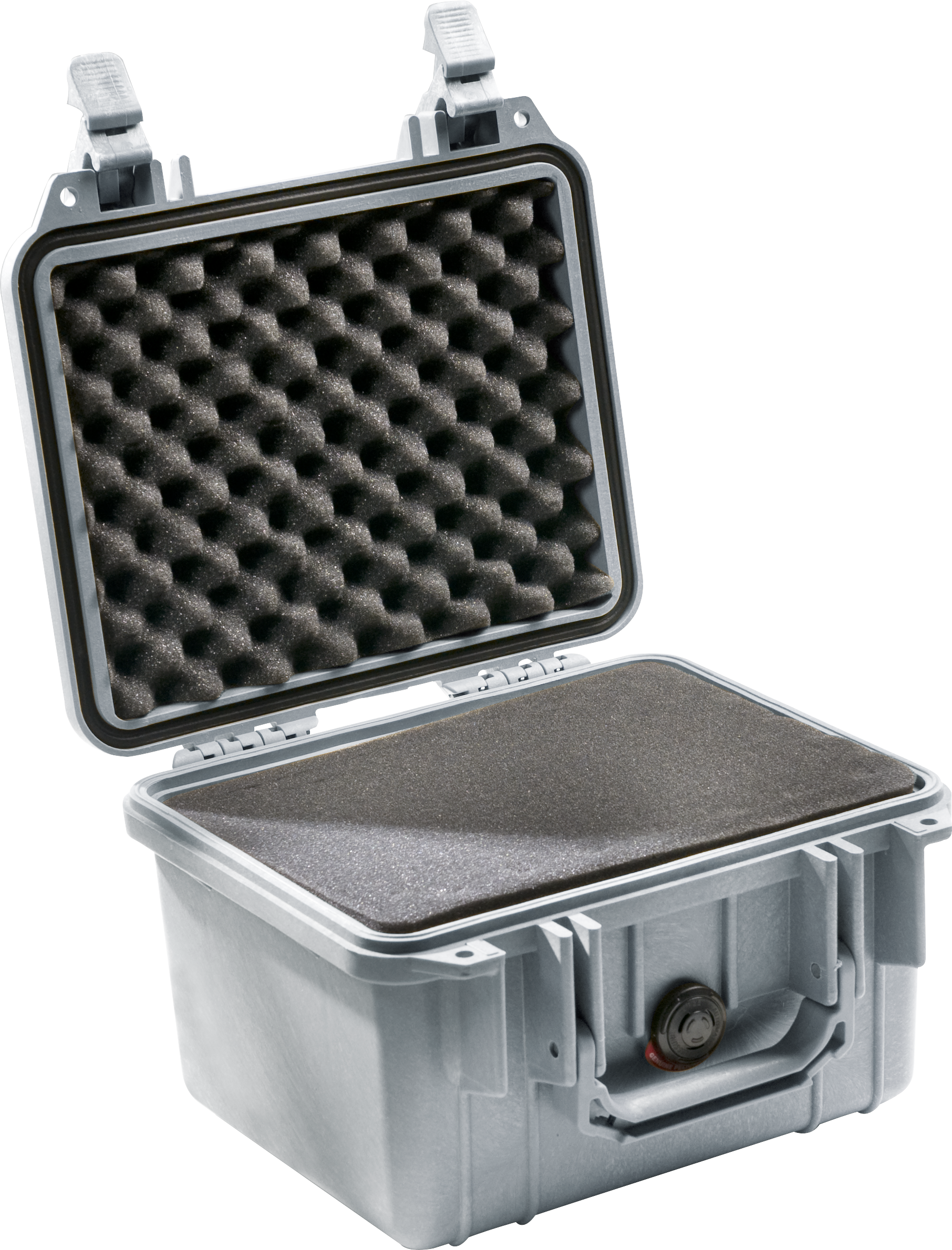 Pelican Products 1300 Protector Case