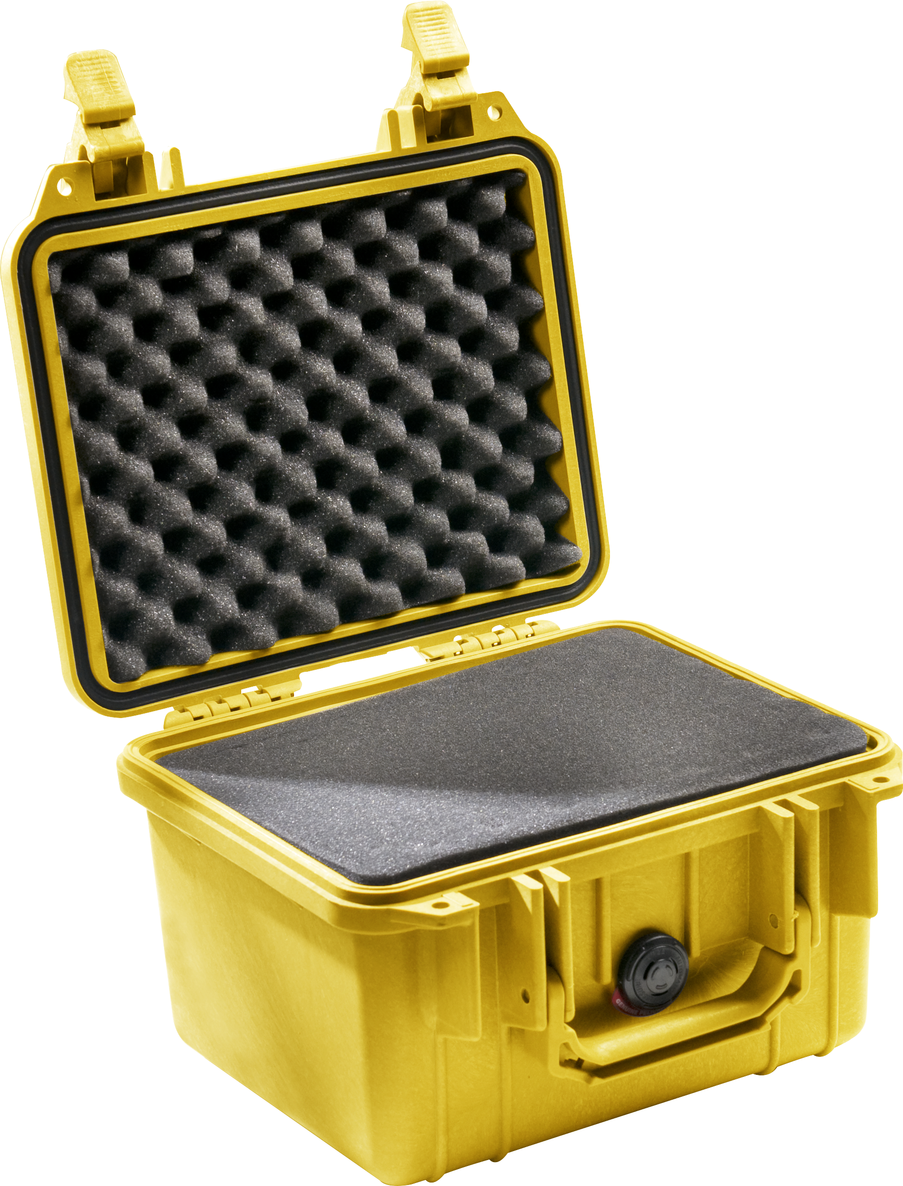 Pelican Products 1300 Protector Case