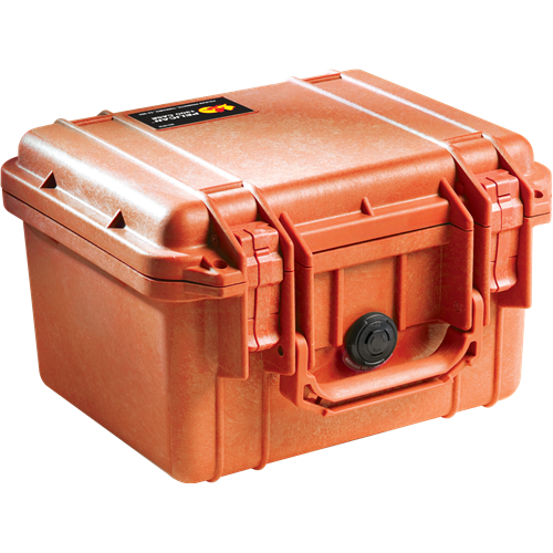 Pelican Products 1300 Protector Case
