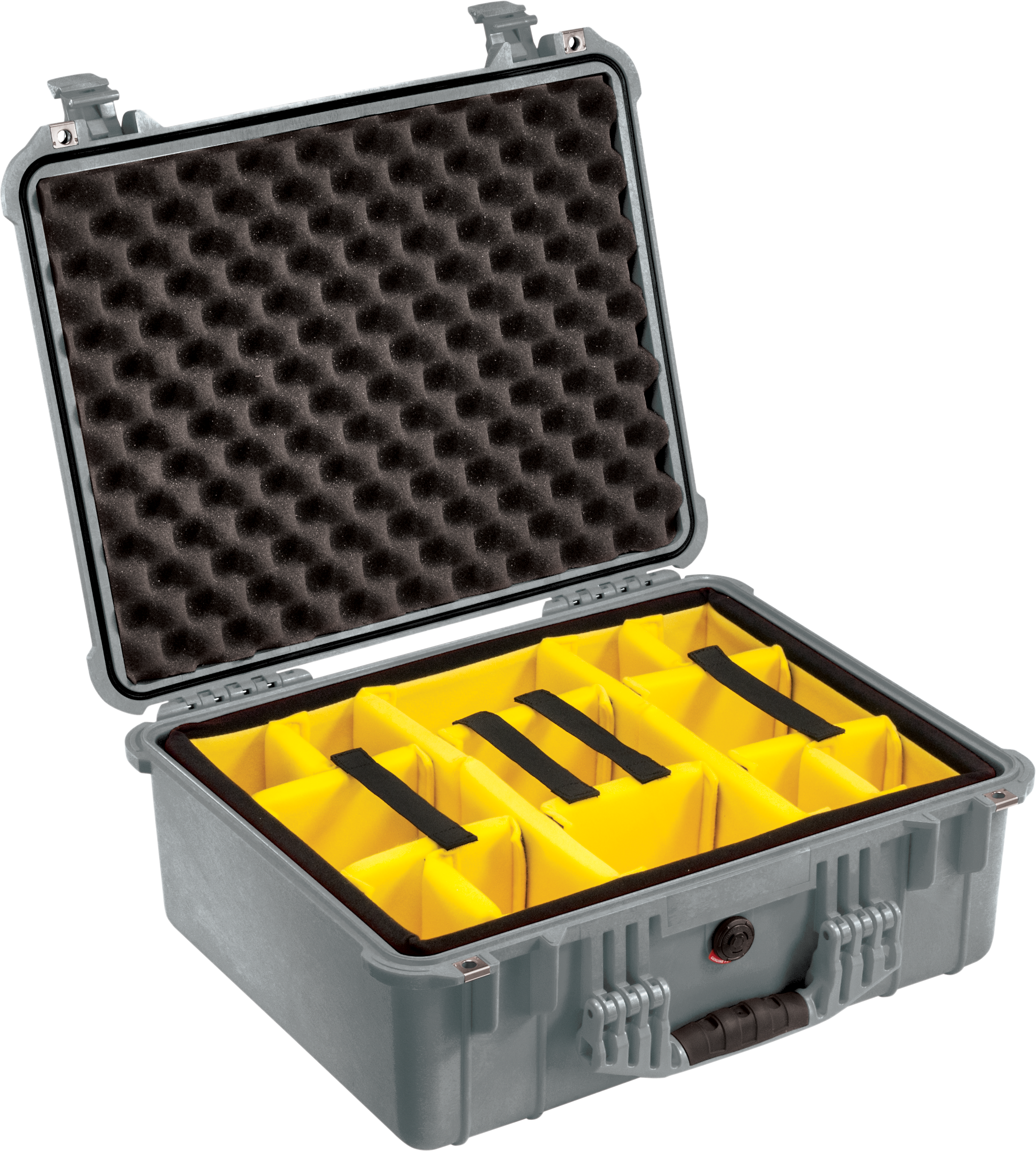 Pelican Products 1550 Protector Case
