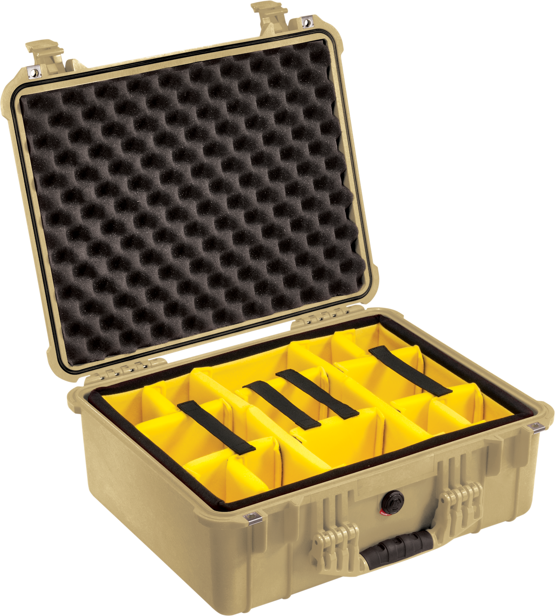Pelican Products 1550 Protector Case