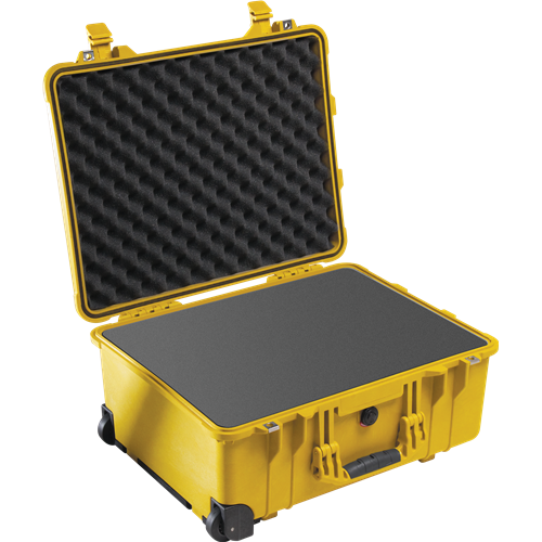 Pelican Products 1560 Protector Case