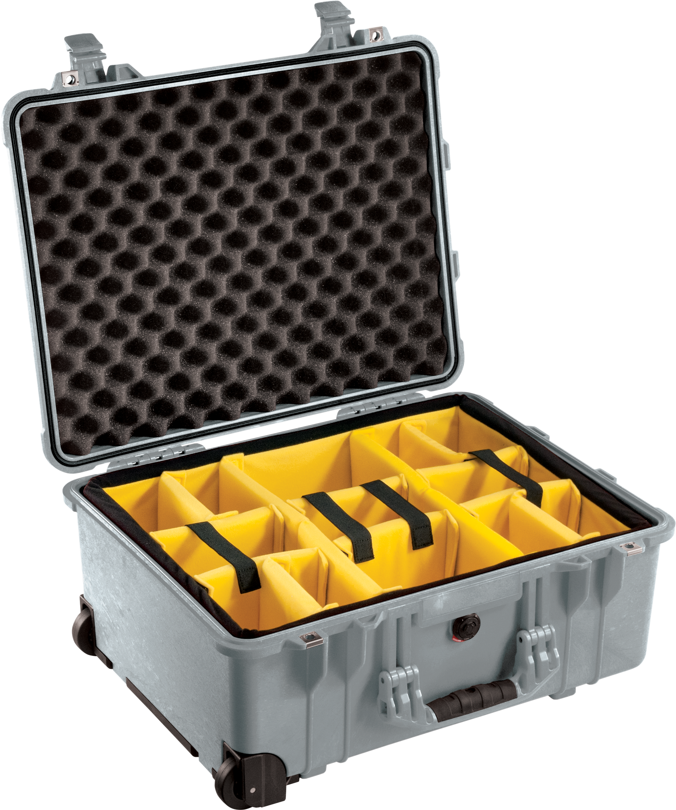 Pelican Products 1560 Protector Case