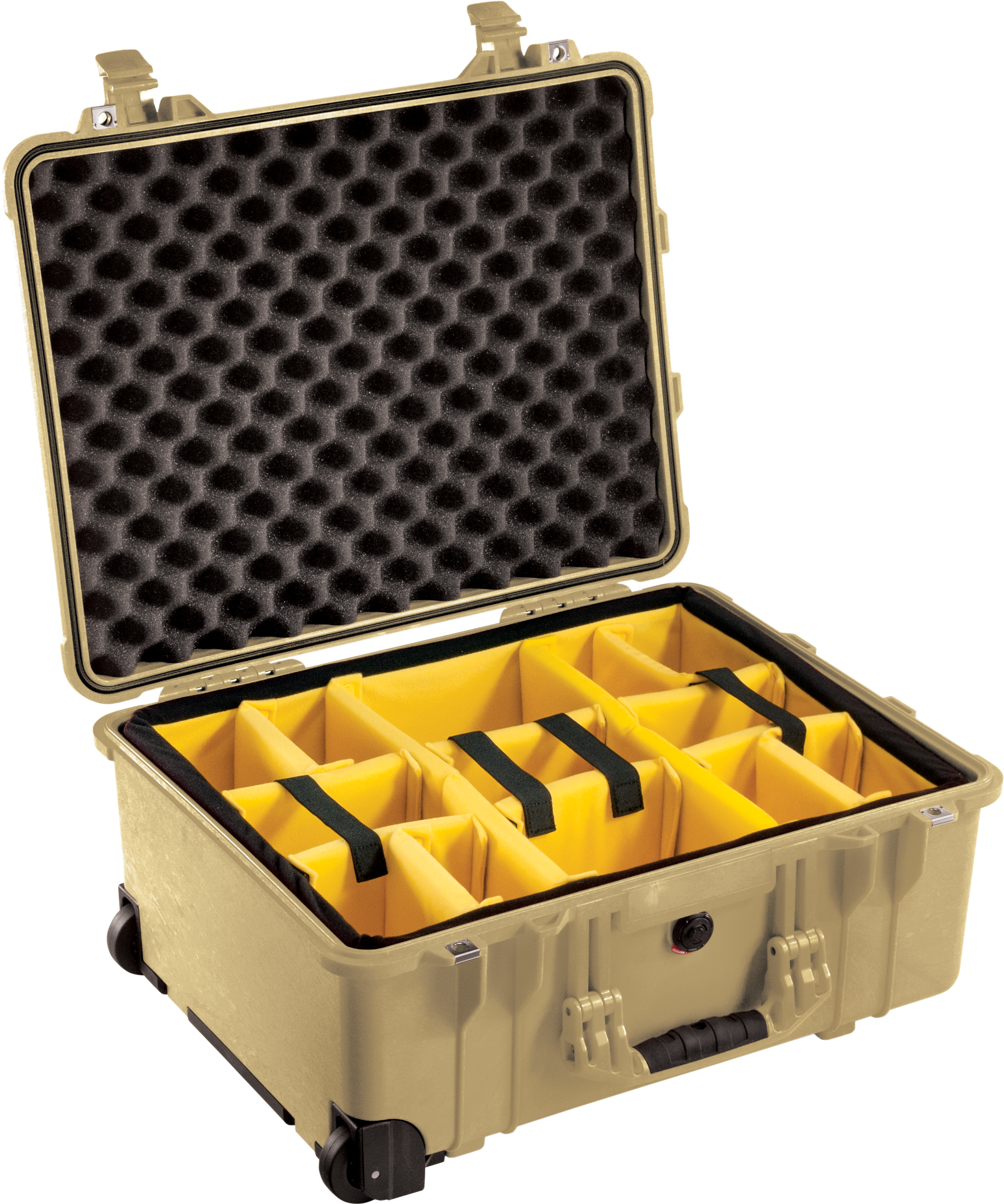 Pelican Products 1560 Protector Case
