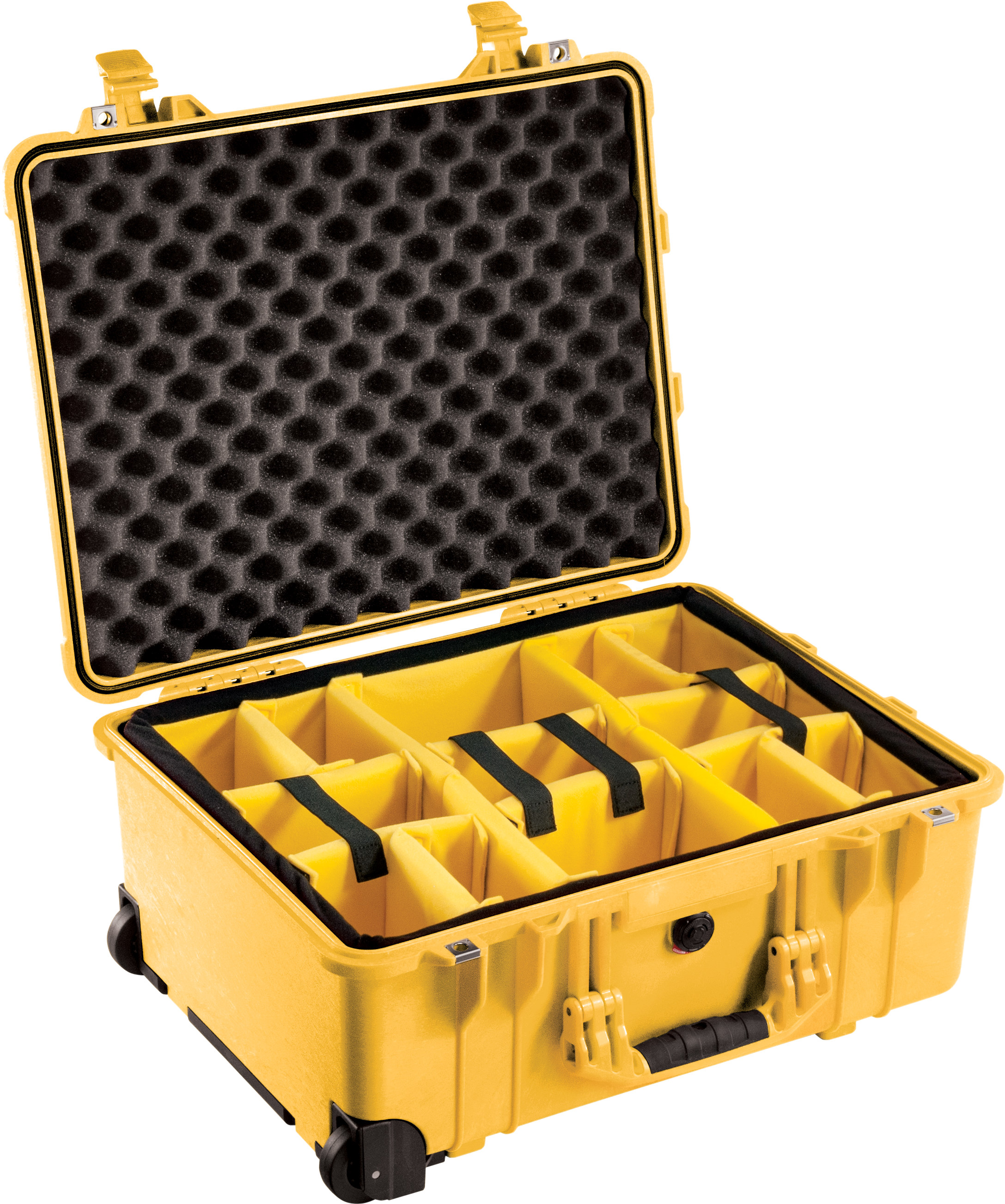 Pelican Products 1560 Protector Case