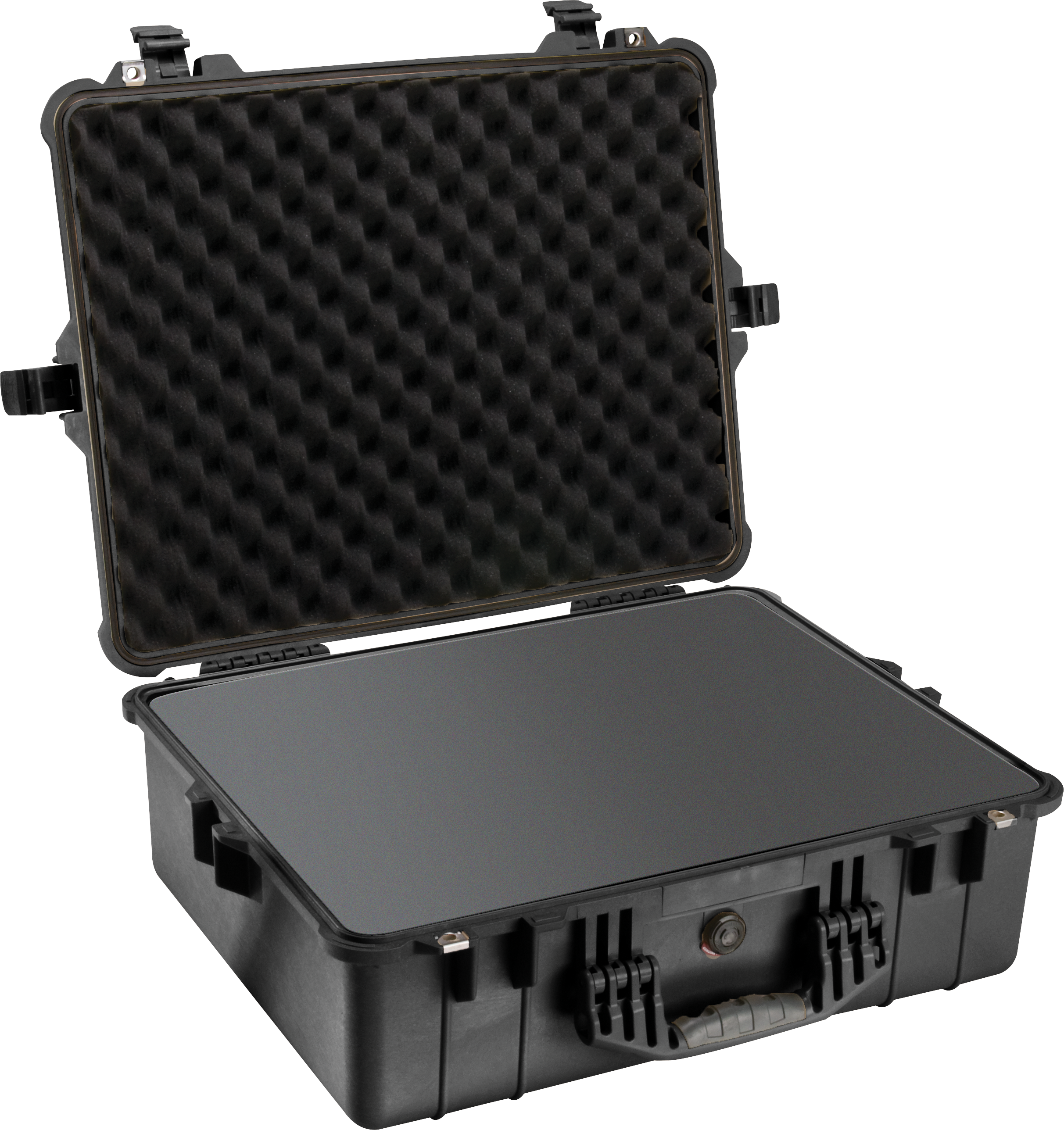 Pelican Products 1600 Protector Case
