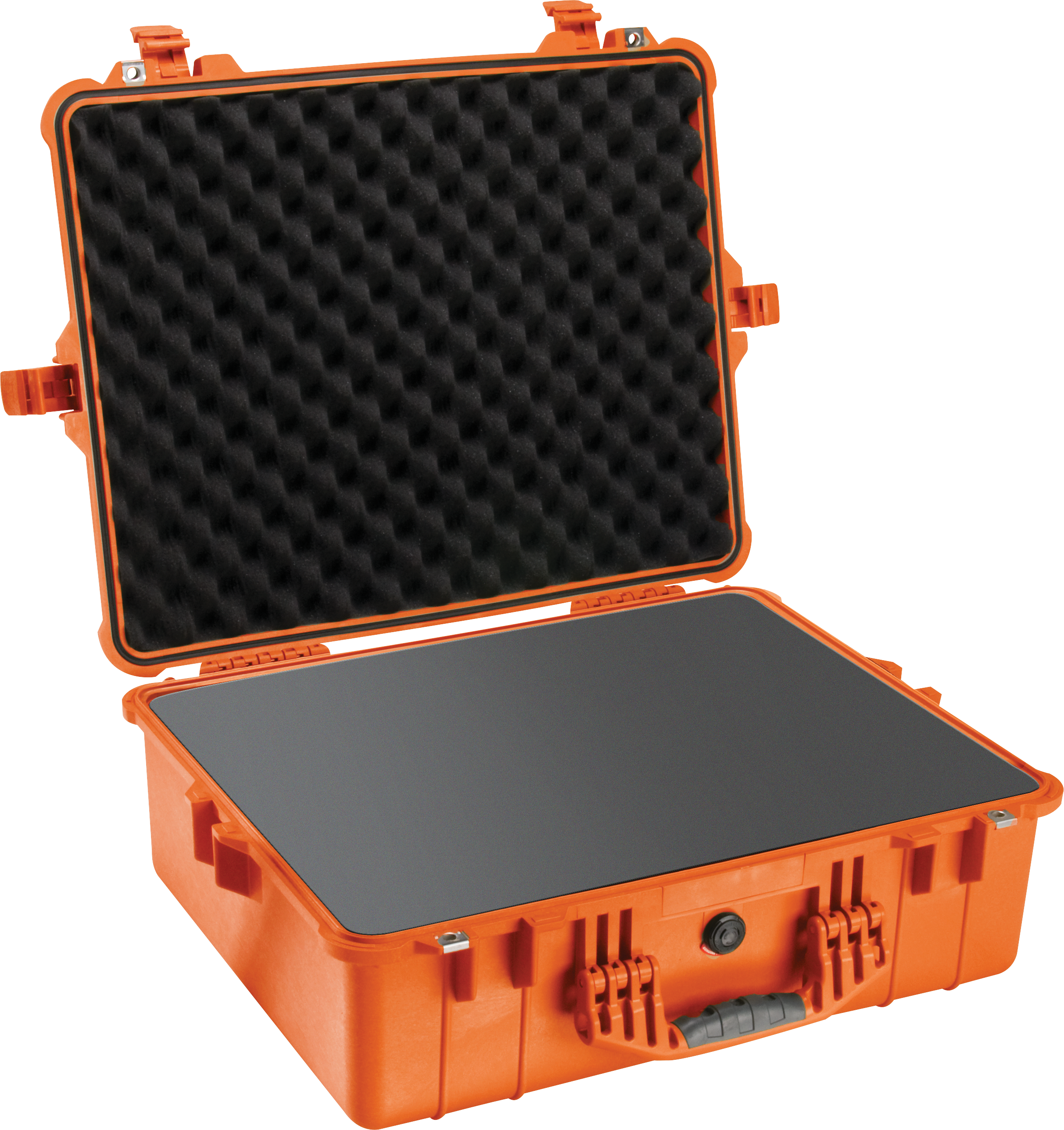 Pelican Products 1600 Protector Case