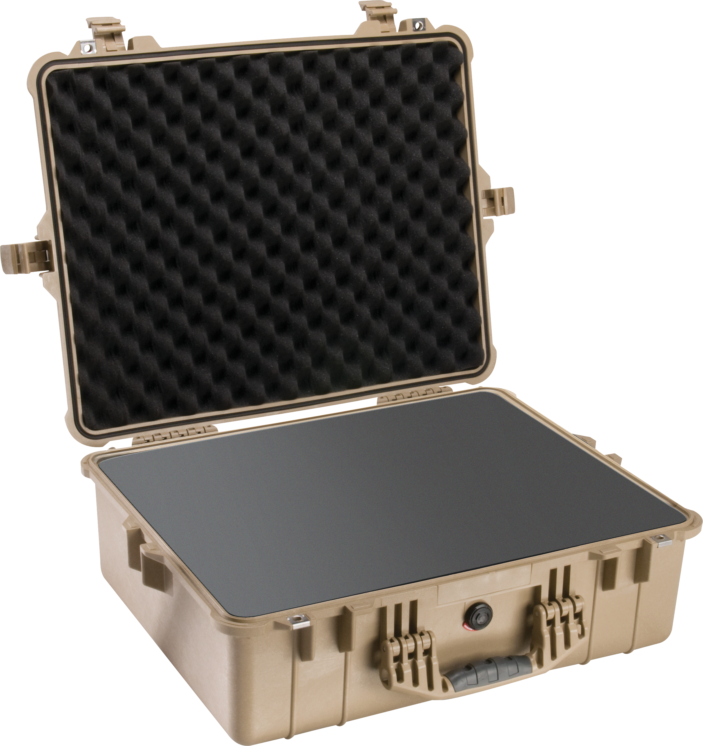 Pelican Products 1600 Protector Case