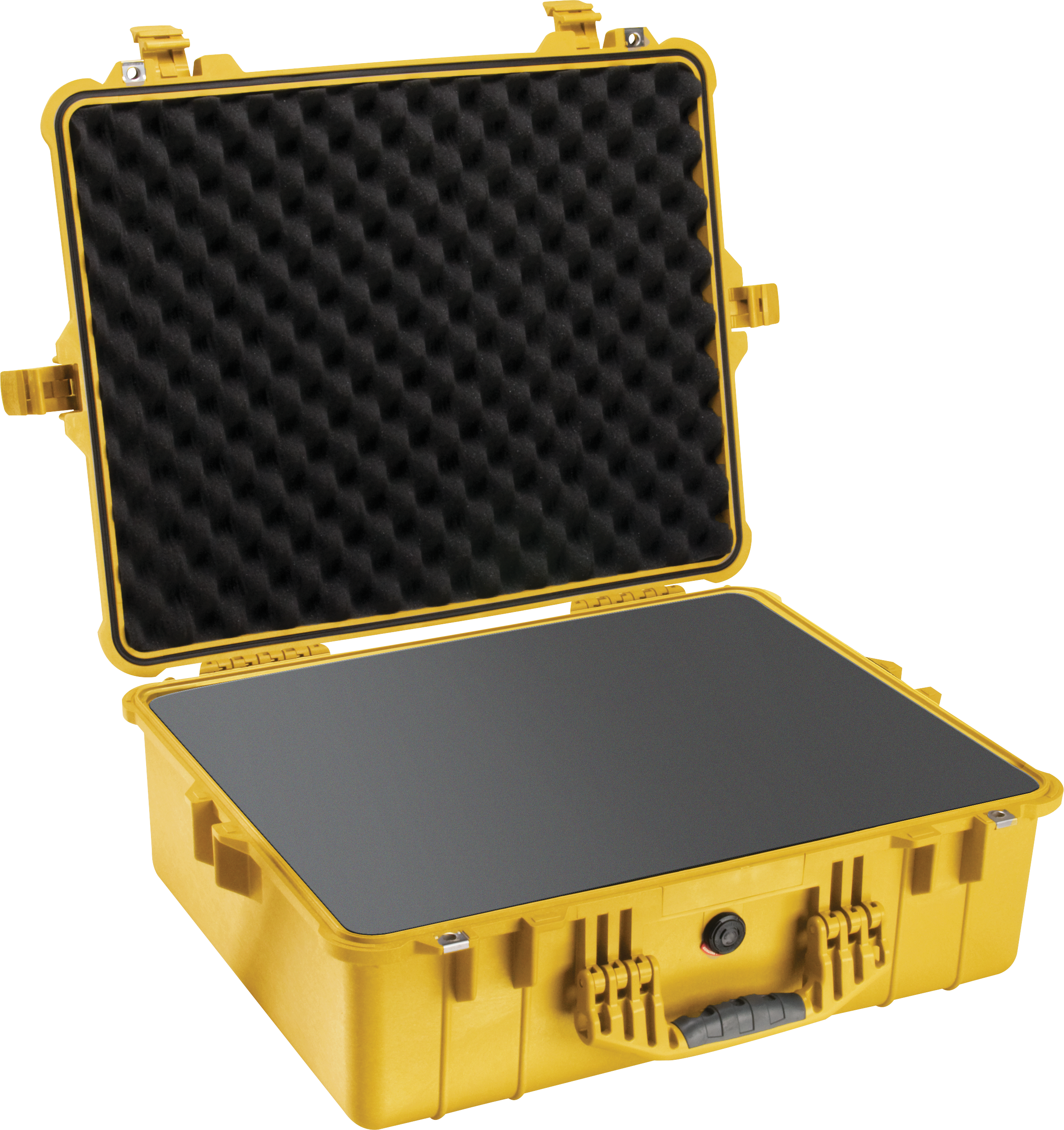 Pelican Products 1600 Protector Case