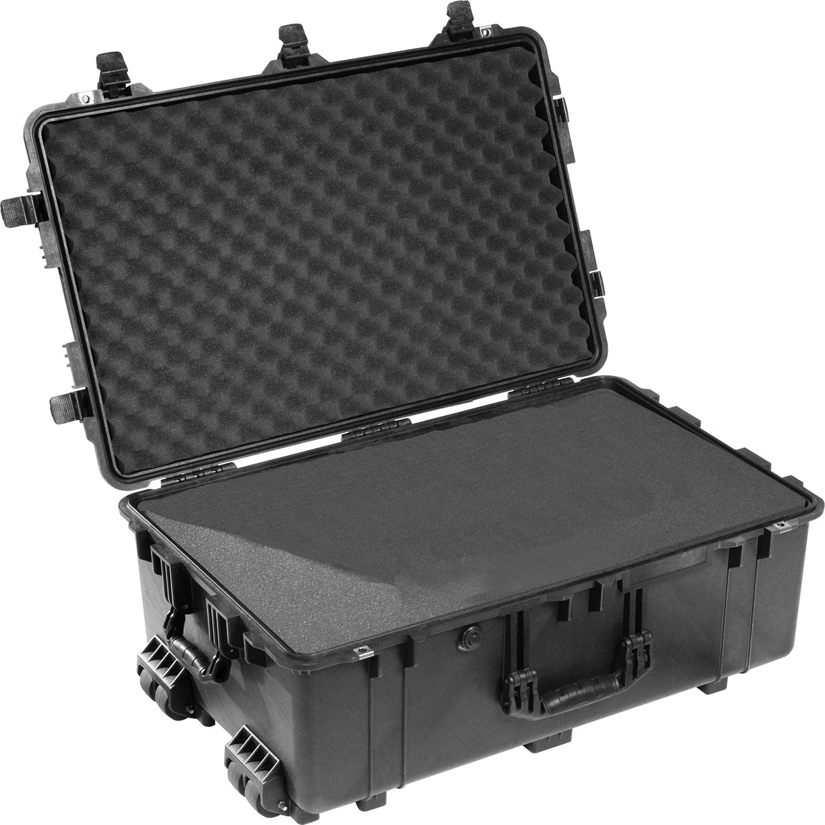 Pelican Products 1650 Protector Case