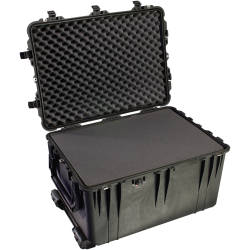 Pelican Products 1660 Protector Case