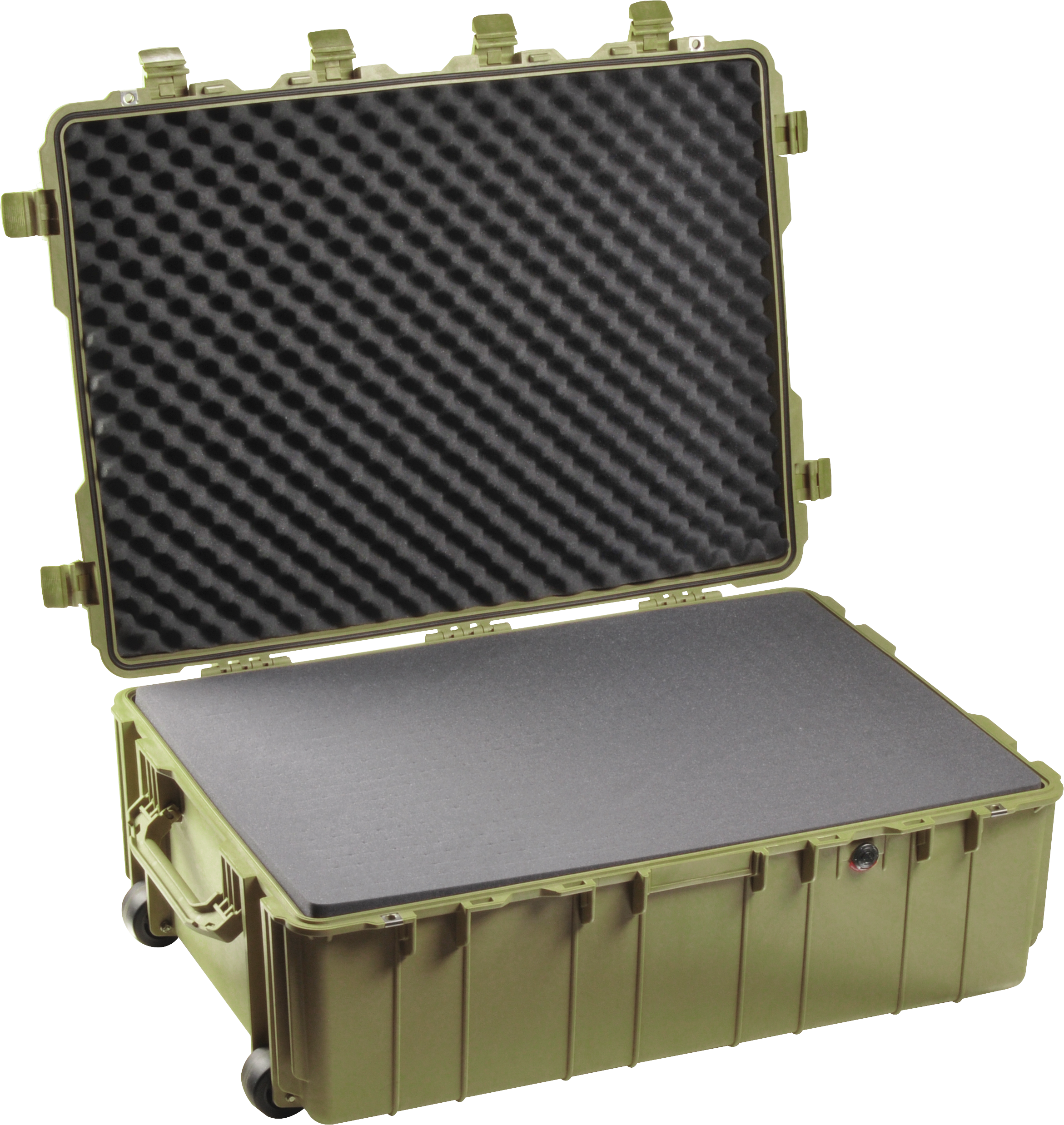 Pelican Products 1730 Protector Transport Case