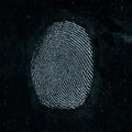 Sirchie Indestructible White Fingerprint Powder 8 oz 237ml