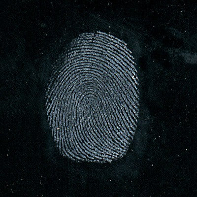 Sirchie Indestructible White Fingerprint Powder 8 oz 237ml