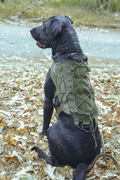 Voodoo Tactical Tracking And Field K9 Harness